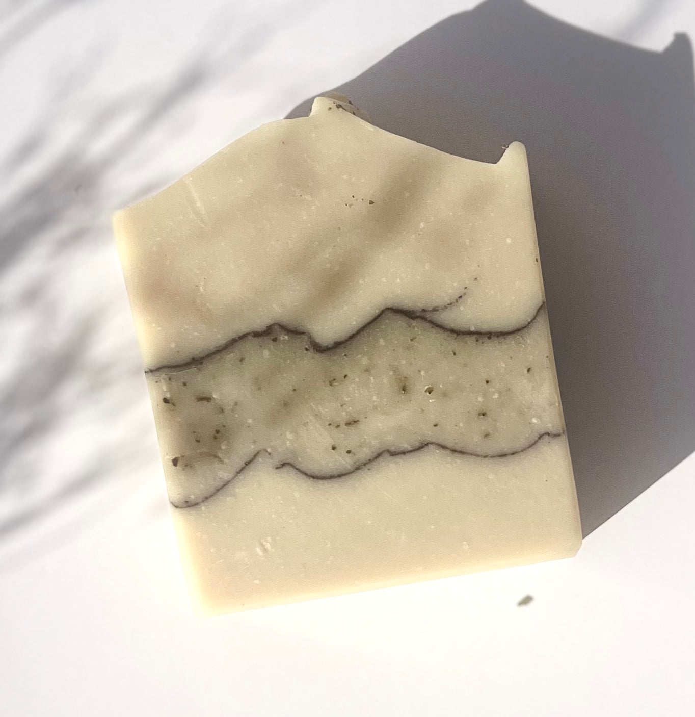 A bar soap - Stellar Spiced Infusion Soap